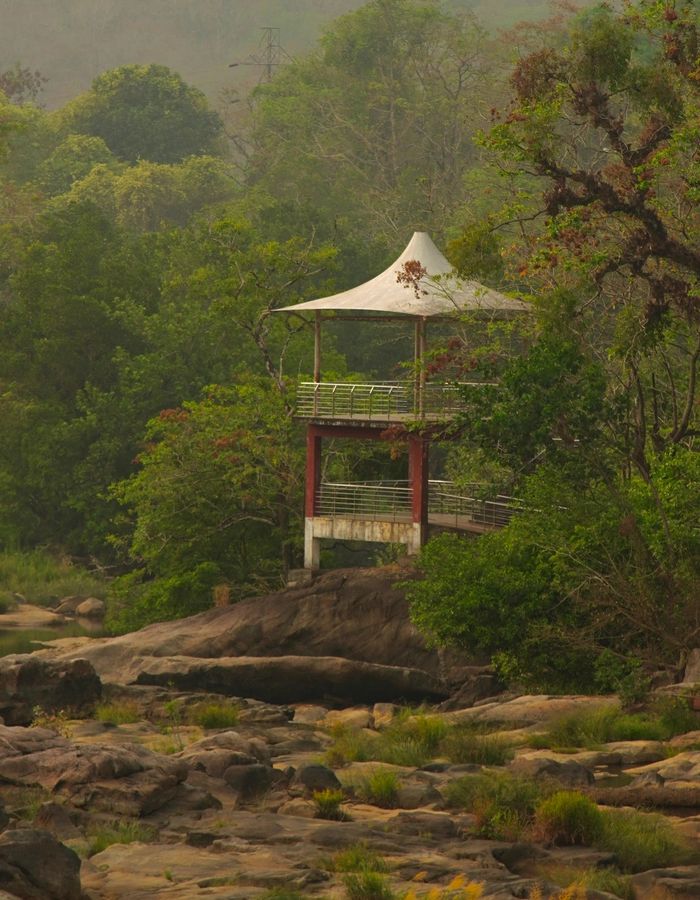 Nature and wilderness near Little Rann Eco Resort