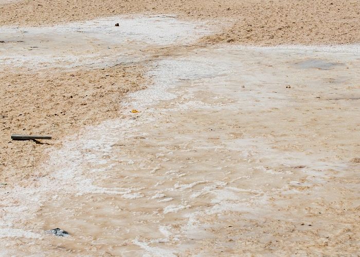 Little Rann Eco Resort gallery image 1