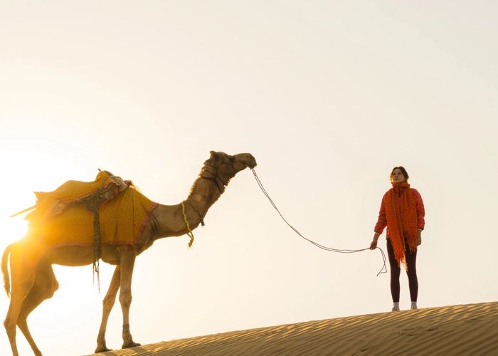 Little Rann Eco Resort gallery image 5