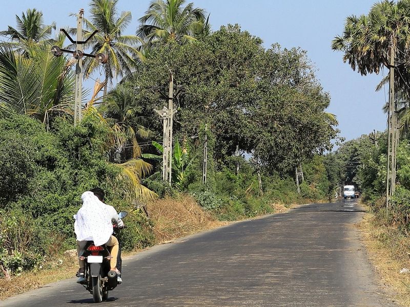Local Culture & Salt Farms